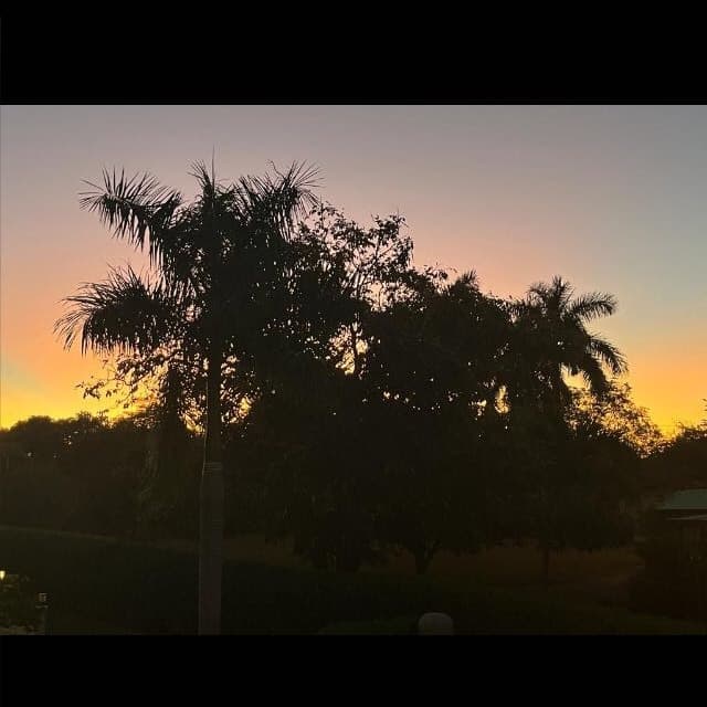 Paradise40454680525